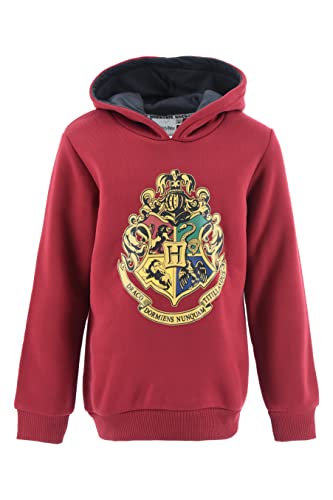 El mejor Sudadera Harry Potter Niño:  Seleccionado para ti