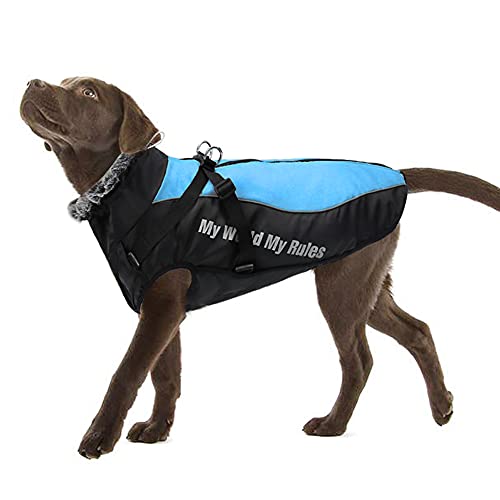 El mejor Abrigo Impermeable Perro:  Guía de revisión y compra